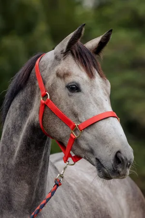 PVC Halter with Brass Fittings